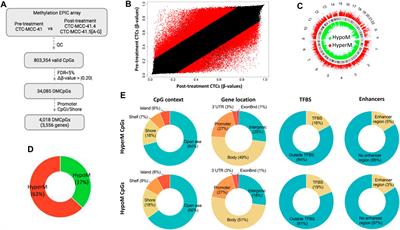 Epigenomic reprogramming of therapy-resistant circulating tumor cells in colon cancer